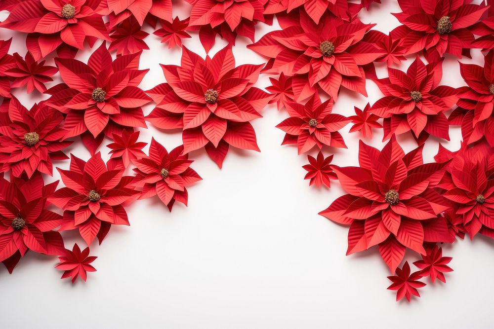 Poinsettia flower backgrounds petal. AI generated Image by rawpixel.