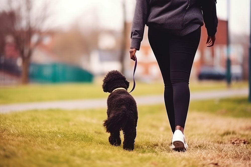 Black woman walking their dog pet mammal animal. AI generated Image by rawpixel.