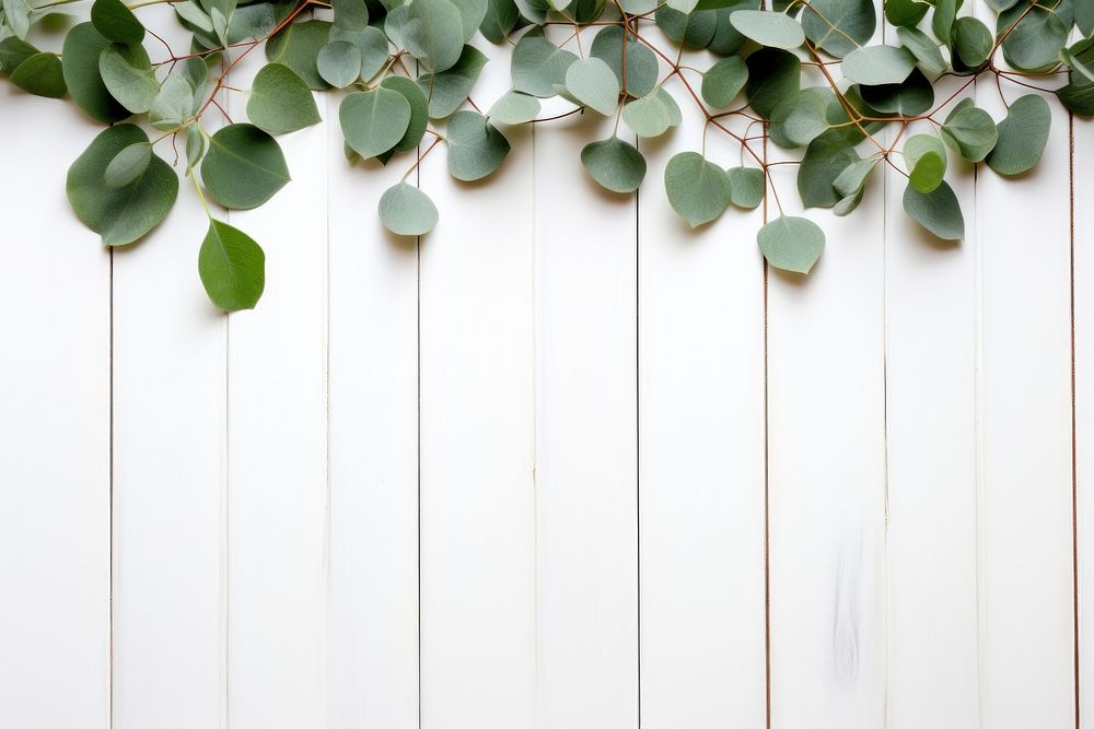 Eucalyptus leaves wood backgrounds plant. AI generated Image by rawpixel.