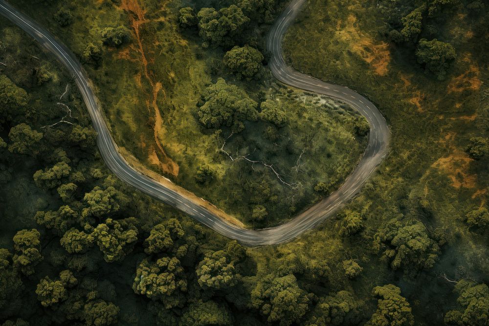 Tree road outdoors nature. AI generated Image by rawpixel.