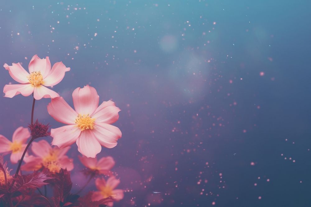 Flower backgrounds outdoors blossom. AI generated Image by rawpixel.