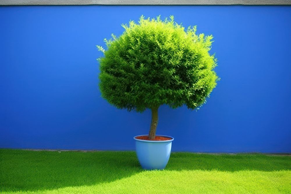 Architect outdoors bonsai nature. AI generated Image by rawpixel.