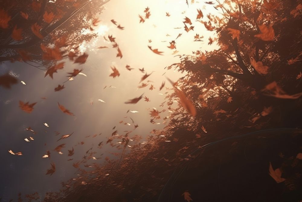 Autumn leaves light backgrounds sunlight. AI generated Image by rawpixel.