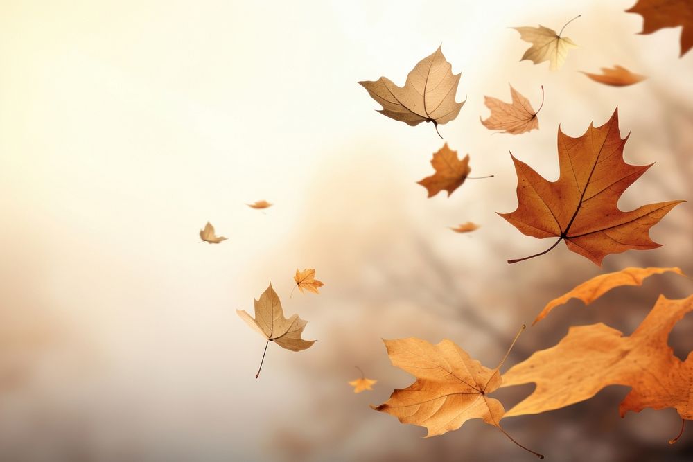 Autumn leaves backgrounds plant leaf. AI generated Image by rawpixel.