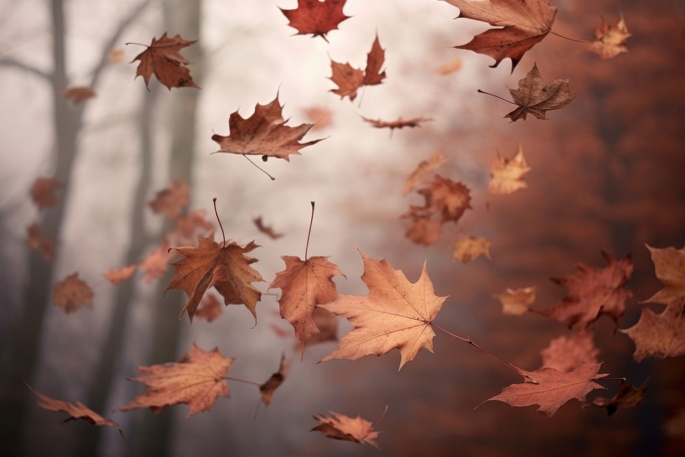 Autumn leaves backgrounds plant maple. AI generated Image by rawpixel.