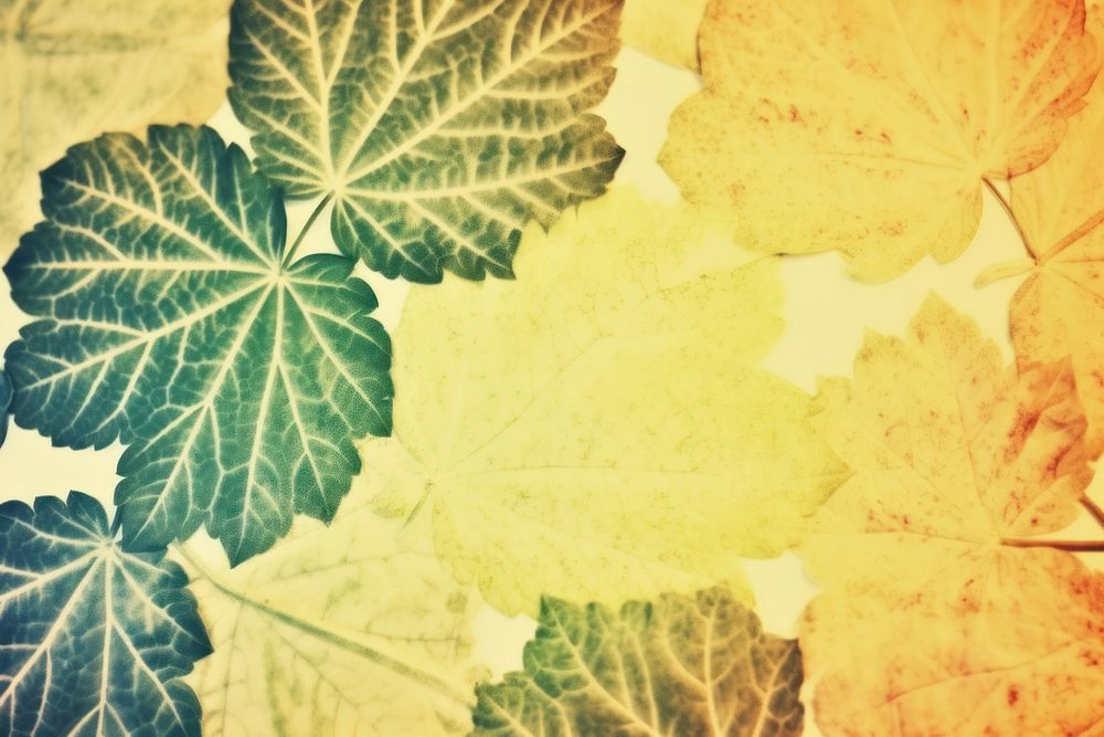 Autumn leaves backgrounds outdoors plant. AI generated Image by rawpixel.