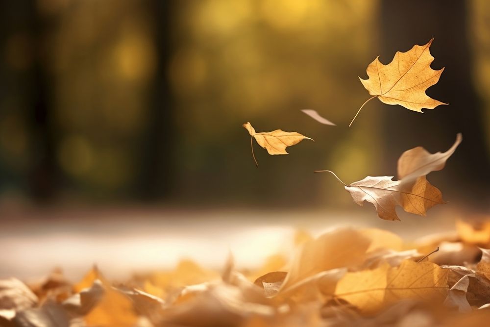 Autumn leaves plant leaf tree. AI generated Image by rawpixel.