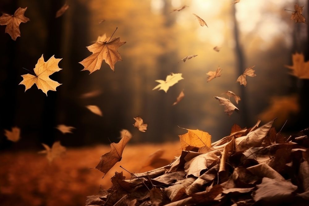 Autumn leaves backgrounds plant light. AI generated Image by rawpixel.