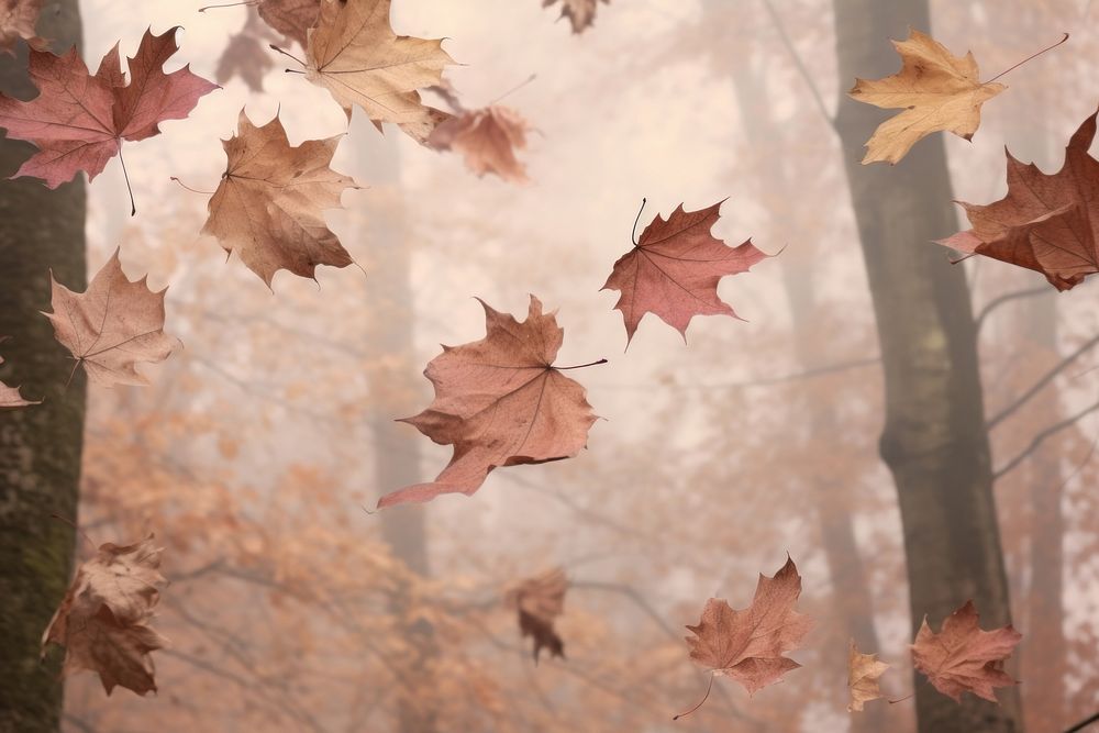 Autumn leaves backgrounds plant tree. AI generated Image by rawpixel.