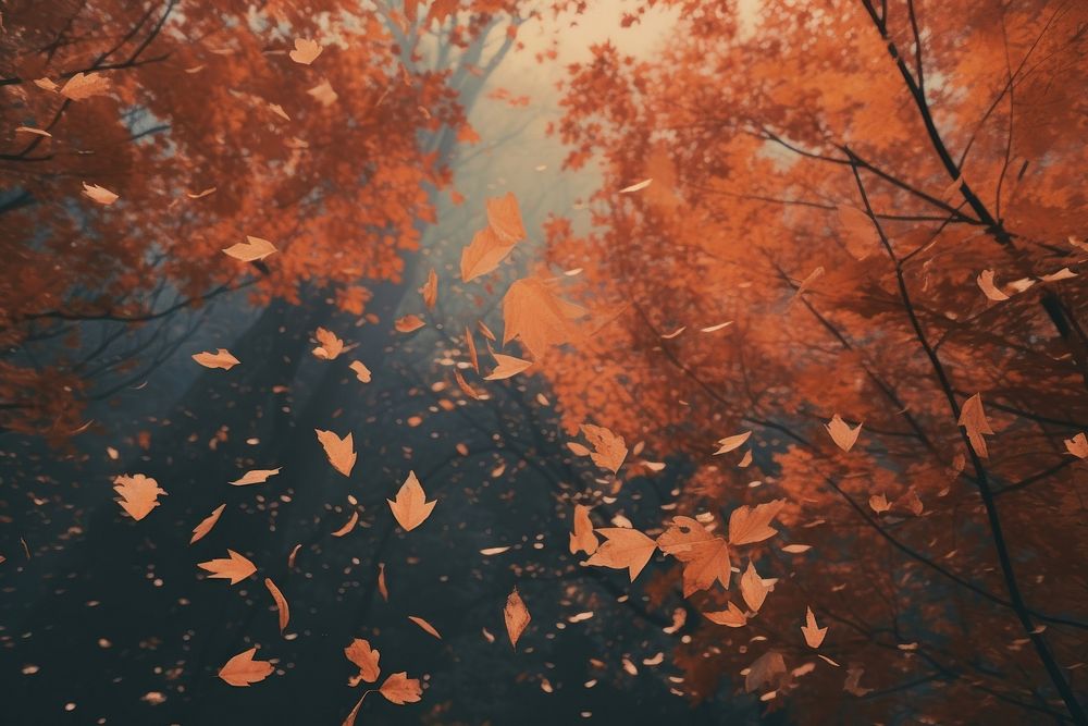 Autumn leaves backgrounds plant tree. AI generated Image by rawpixel.