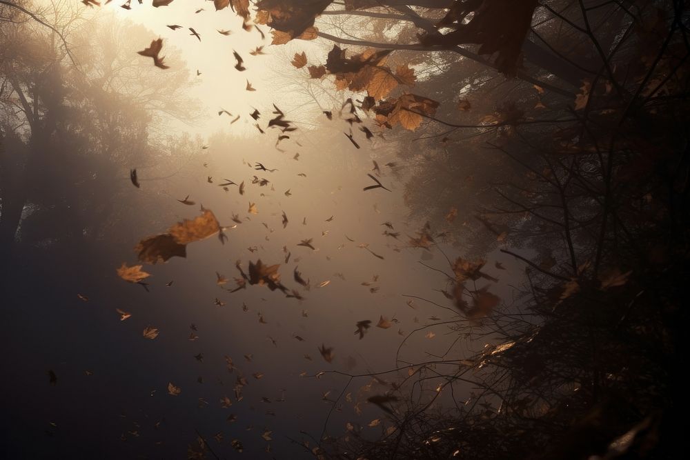 Autumn leaves backgrounds sunlight outdoors. AI generated Image by rawpixel.