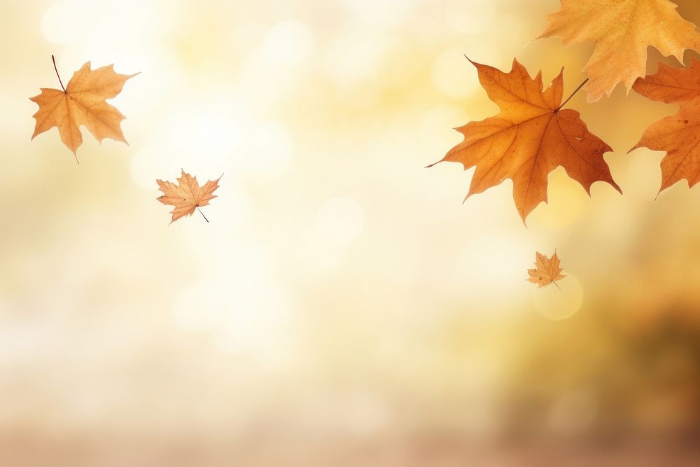 Autumn leaves backgrounds plant leaf. AI generated Image by rawpixel.