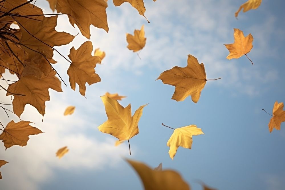 Autumn leaves backgrounds outdoors nature. AI generated Image by rawpixel.
