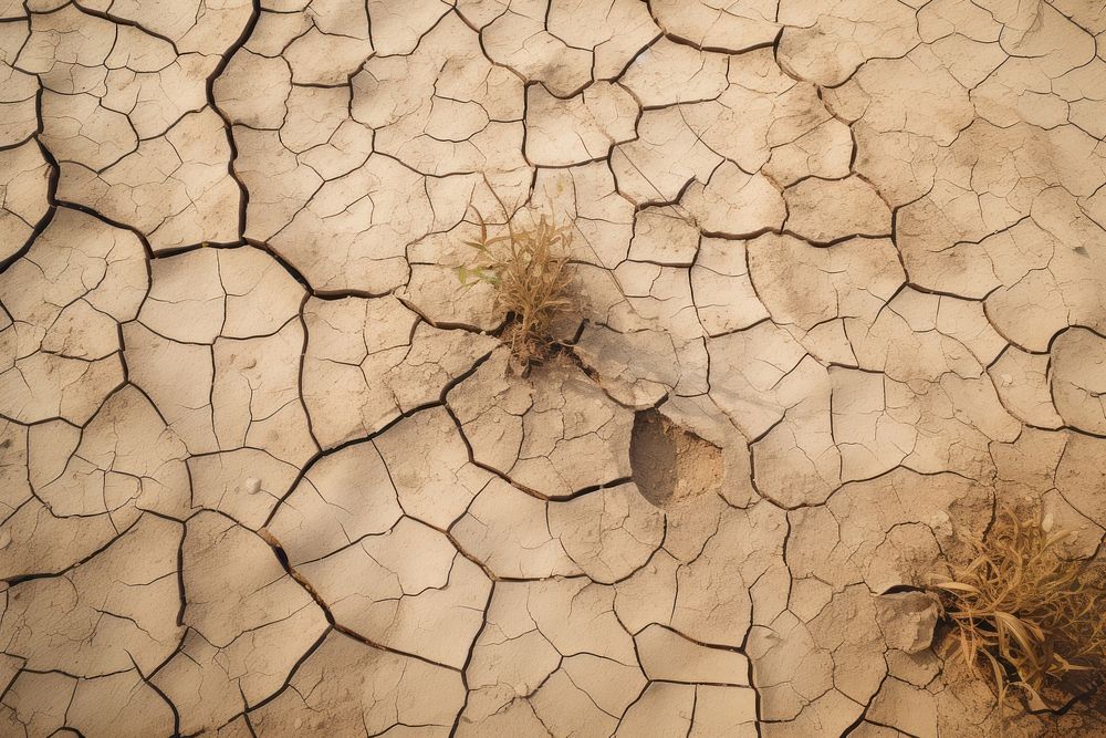 Cracked ground climate soil mud. AI generated Image by rawpixel.