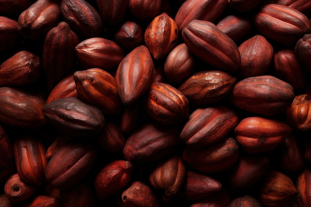 Hawaiian Cocao Pods plant food nut. AI generated Image by rawpixel.