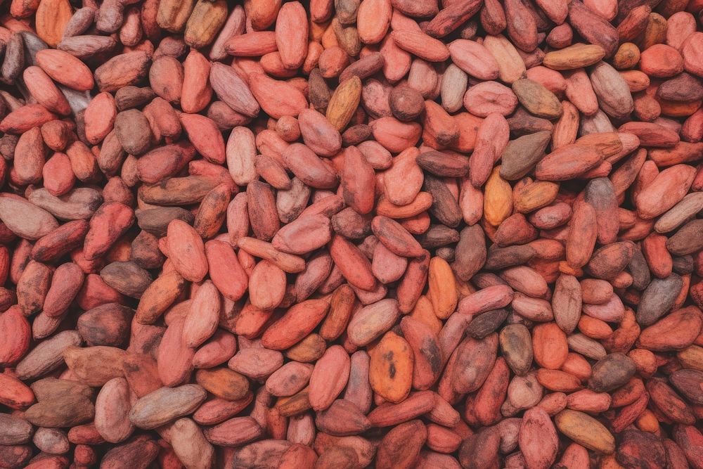 Hawaiian Cocao Pods food nut backgrounds. AI generated Image by rawpixel.