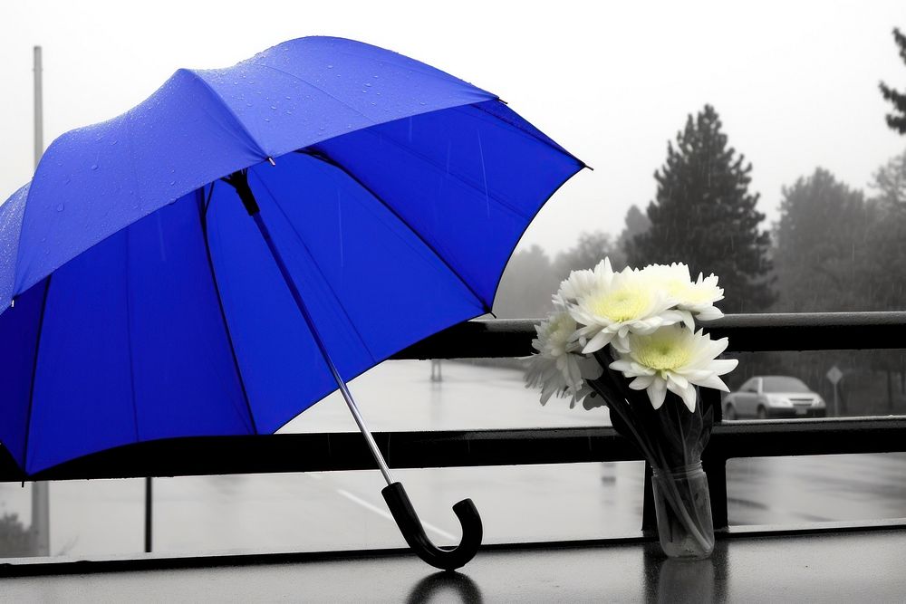 Blue rose umbrella flower plant. AI generated Image by rawpixel.