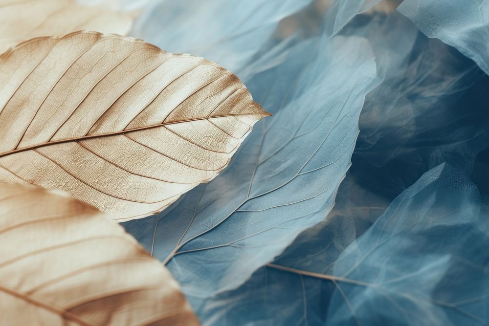 Leaf abstract shape aesthetic background backgrounds texture plant. AI generated Image by rawpixel.