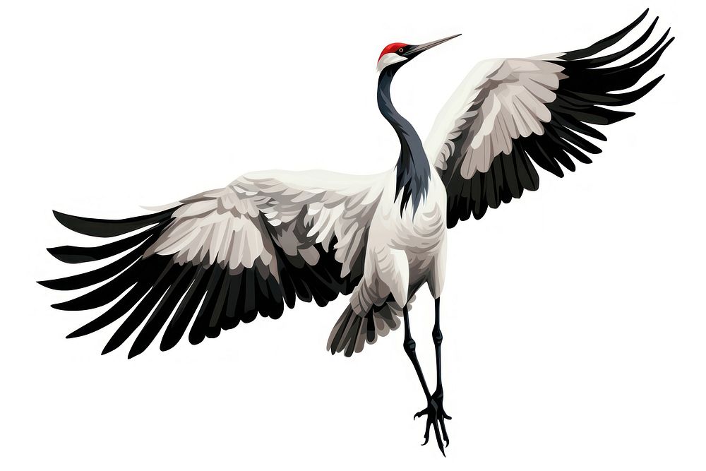 Kung fu crane animal bird white background. AI generated Image by rawpixel.