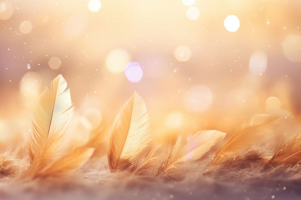 Bokeh effect background backgrounds sunlight outdoors. AI generated Image by rawpixel.