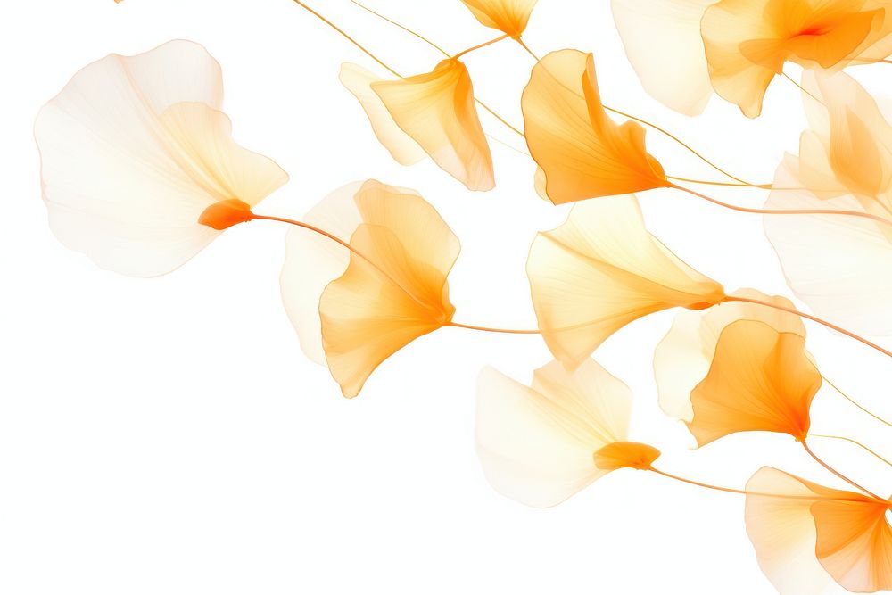 Orange petals backgrounds graphics flower. AI generated Image by rawpixel.