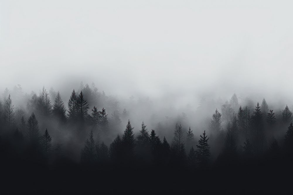 Fog abstract backgrounds outdoors nature. AI generated Image by rawpixel.