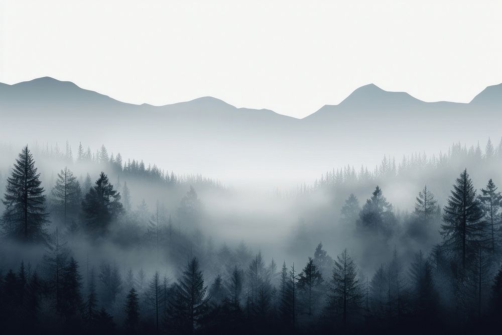 Fog abstract backgrounds outdoors nature. 