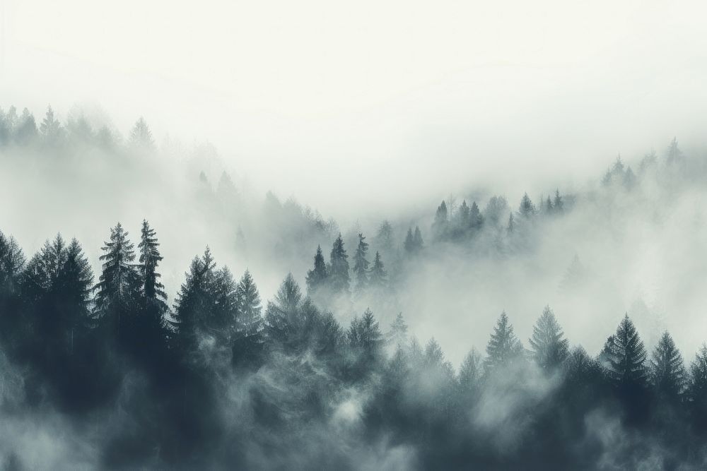 Fog abstract backgrounds outdoors woodland. AI generated Image by rawpixel.