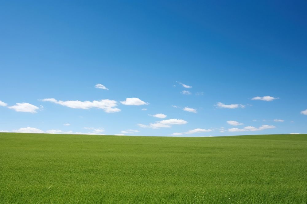 A grassy field with clear blue sky backgrounds landscape outdoors. AI generated Image by rawpixel.