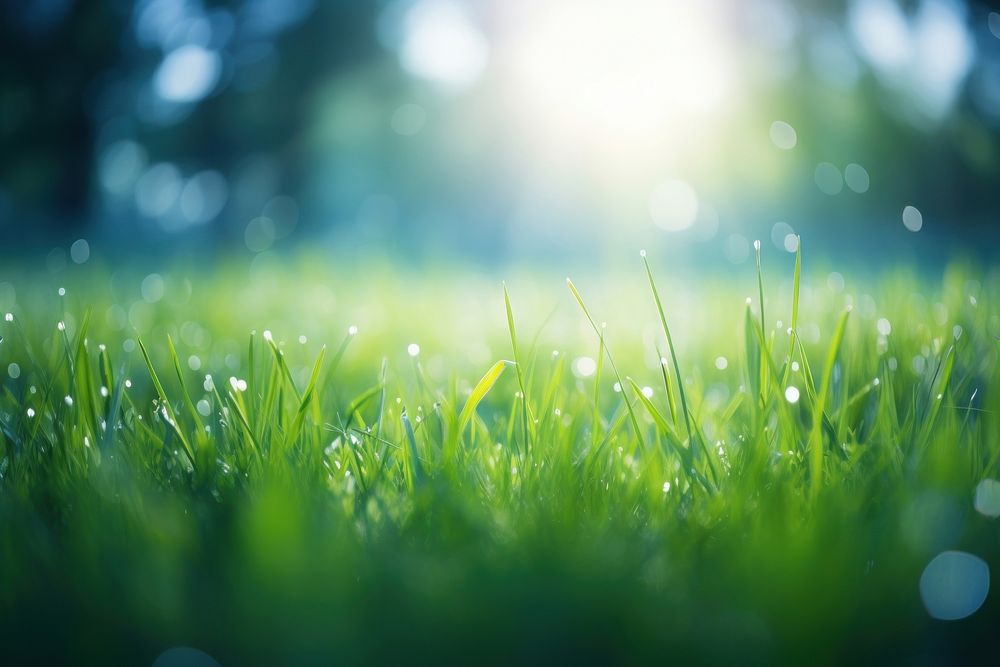 Grass land scene with sunlight green backgrounds landscape. AI generated Image by rawpixel.