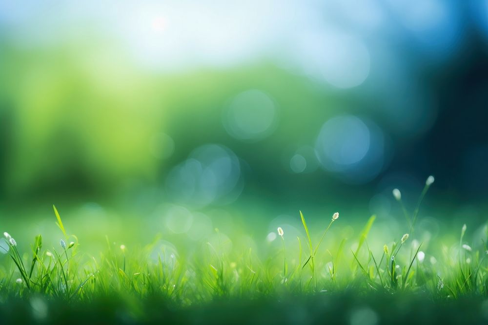 Grass land scene with sunlight green backgrounds landscape. AI generated Image by rawpixel.