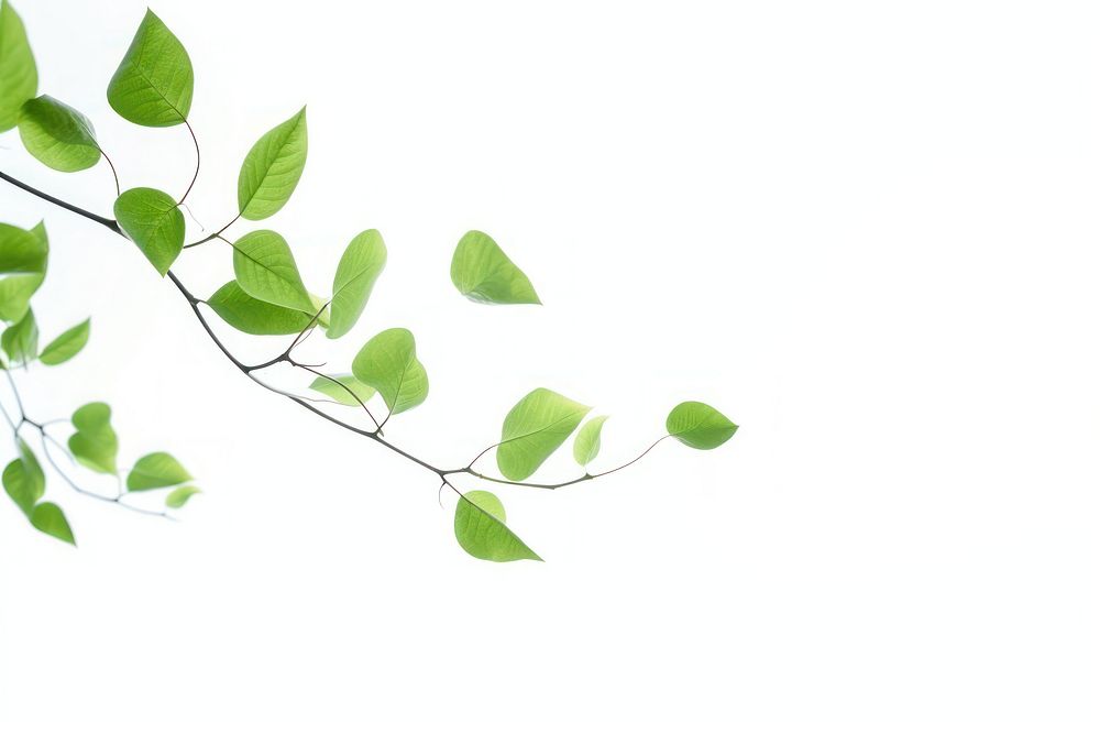 Fresh leaves backgrounds plant leaf. AI generated Image by rawpixel.
