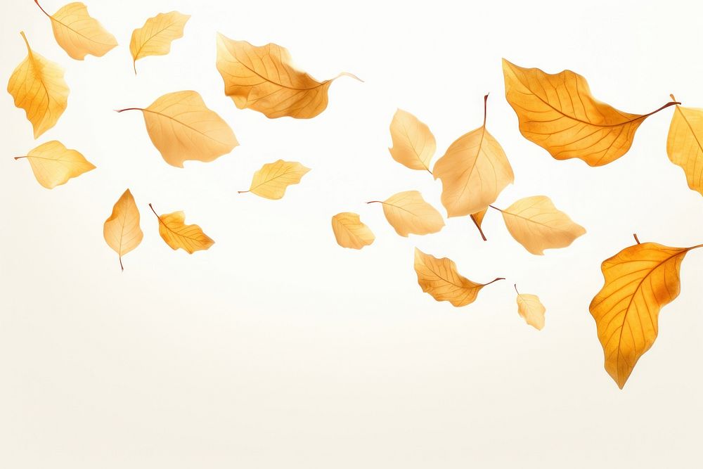 Leaves backgrounds plant leaf. AI generated Image by rawpixel.