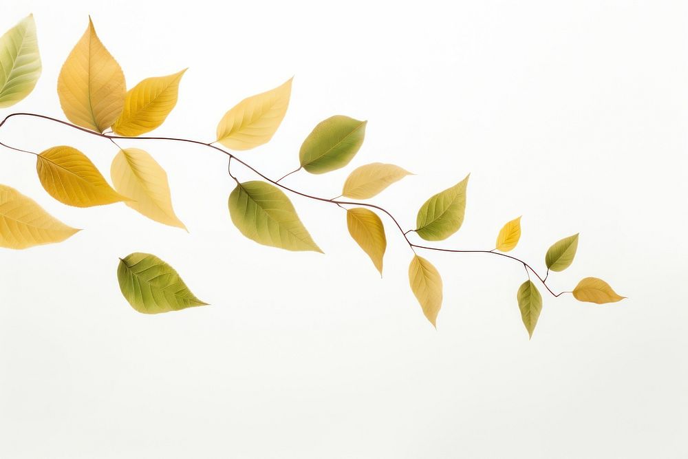 Leaves plant leaf tranquility. AI generated Image by rawpixel.