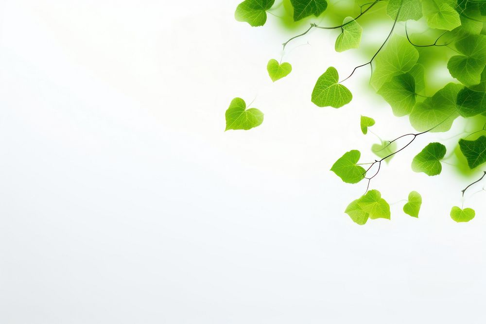 Primary green color leaves backgrounds plant leaf. AI generated Image by rawpixel.