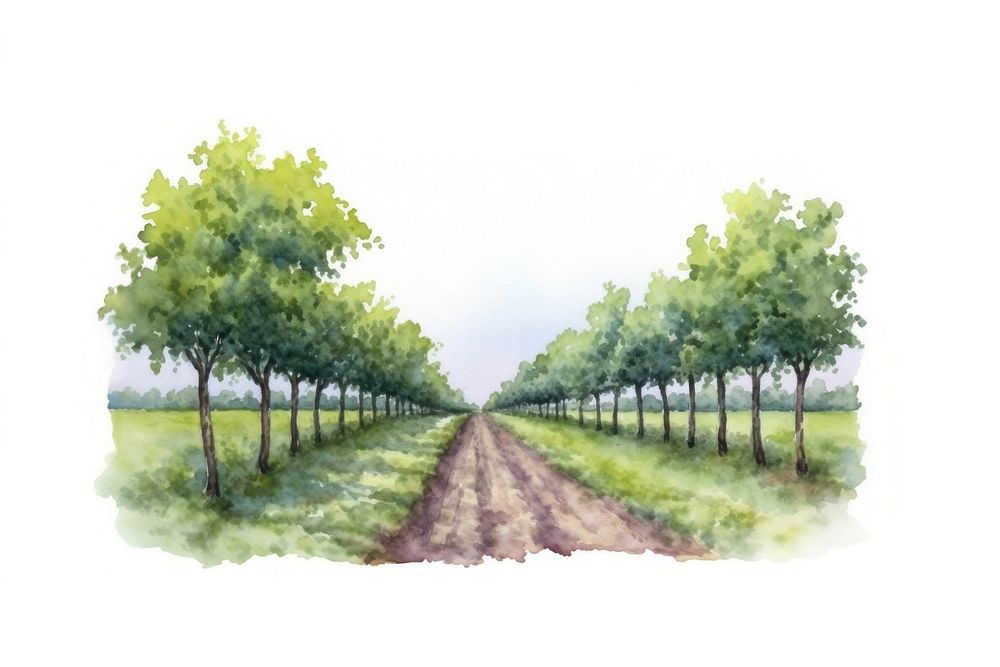 Vineyard watercolor landscape outdoors nature. AI generated Image by rawpixel.