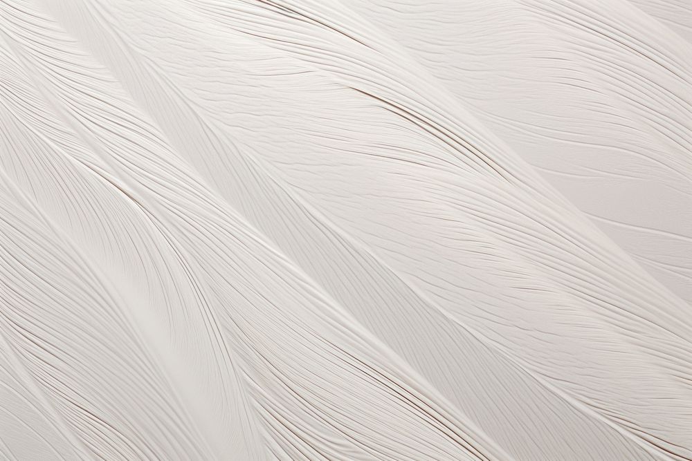 Feather white line lightweight. AI generated Image by rawpixel.