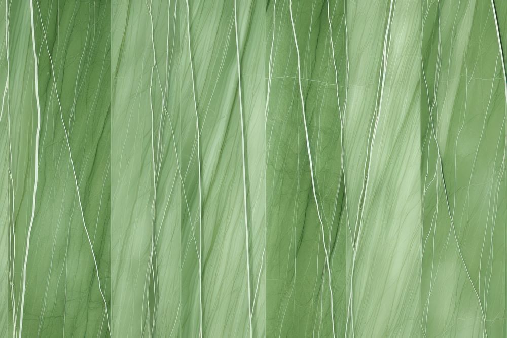 Green bamboo curtain texture plant. AI generated Image by rawpixel.