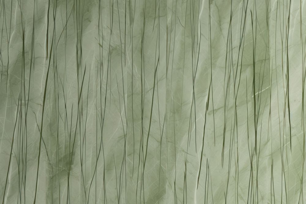 Green bamboo texture plant line. AI generated Image by rawpixel.