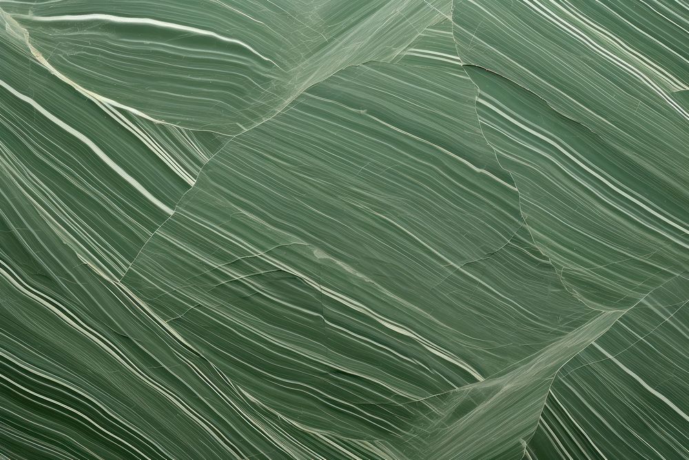 Green palm texture nature leaf. AI generated Image by rawpixel.