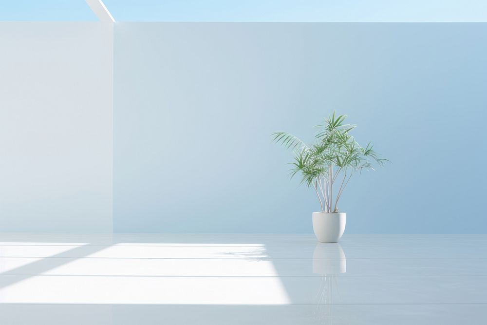Room architecture shadow plant. AI generated Image by rawpixel.