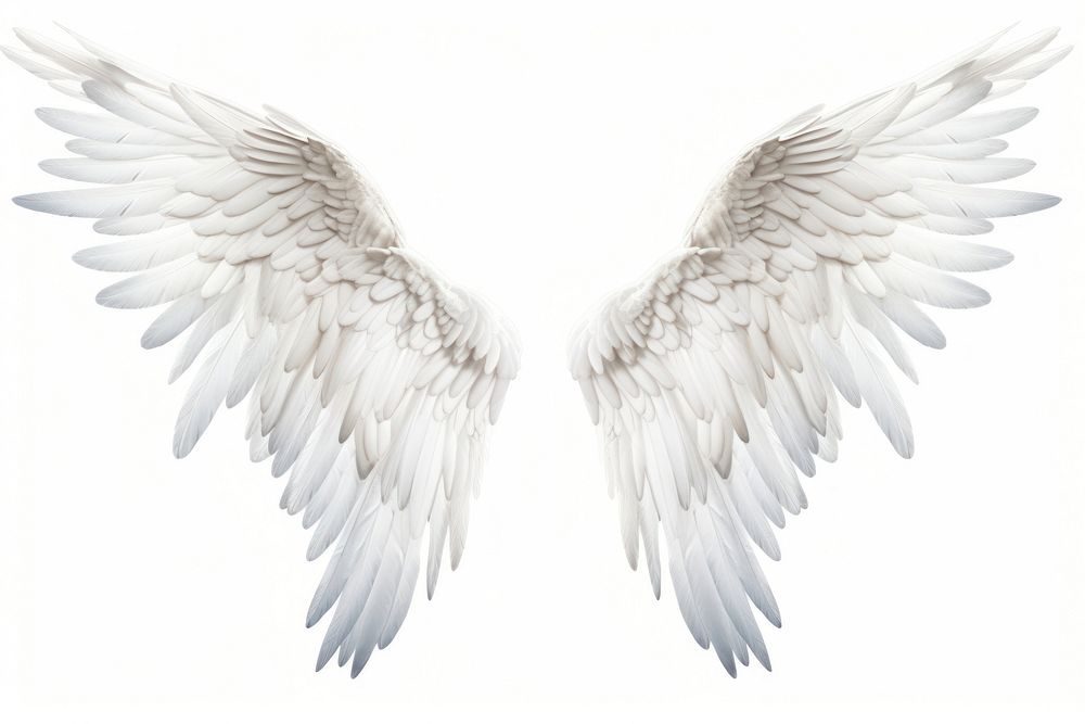 Wings angel bird flying. AI generated Image by rawpixel.
