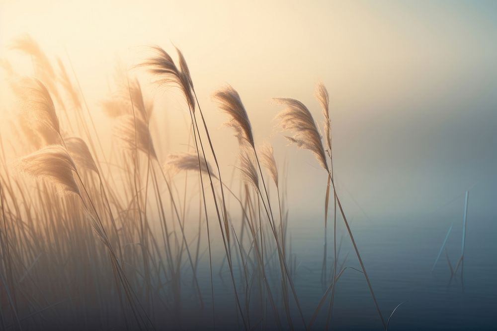 The misty reed in the center of a foggy lake nature landscape outdoors. AI generated Image by rawpixel.