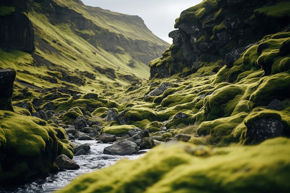 A field of green moss in Iceland nature landscape mountain. AI generated Image by rawpixel.