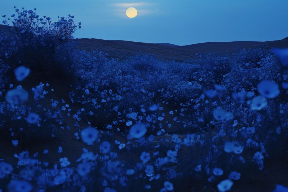 A large ground with blue flowers landscape astronomy outdoors. AI generated Image by rawpixel.
