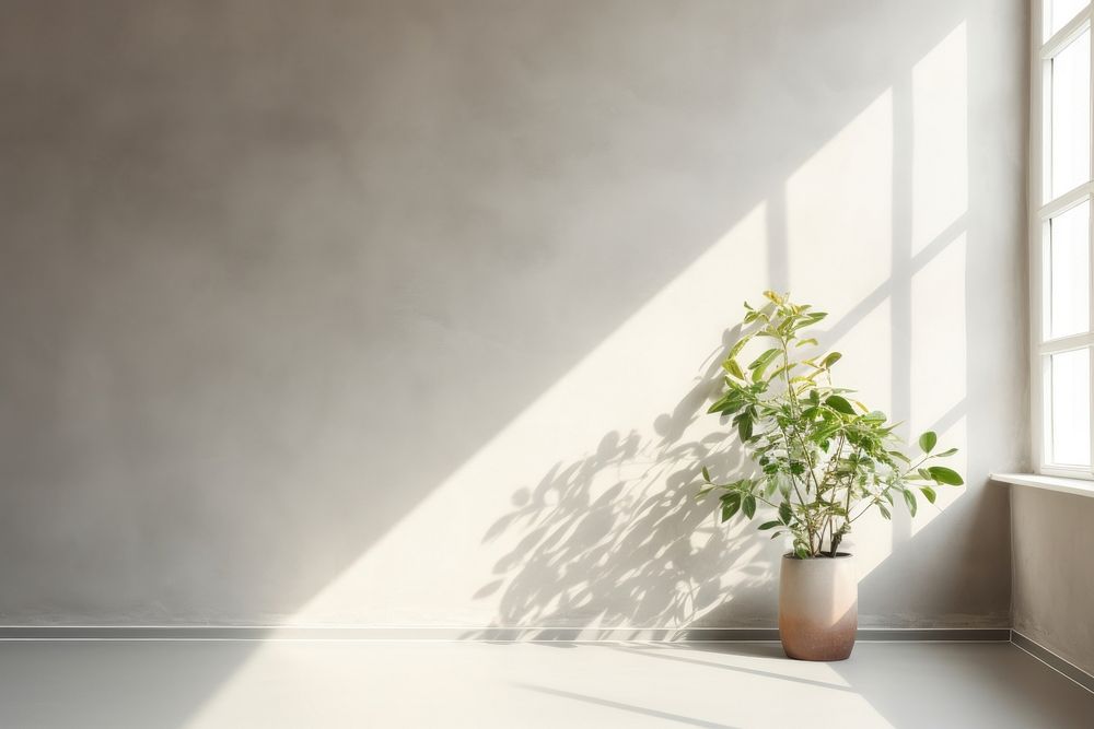 Empty room plant architecture windowsill. AI generated Image by rawpixel.