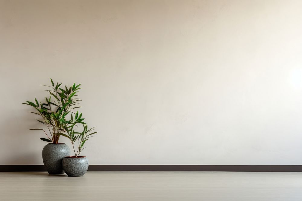 Empty room plant architecture wall. AI generated Image by rawpixel.