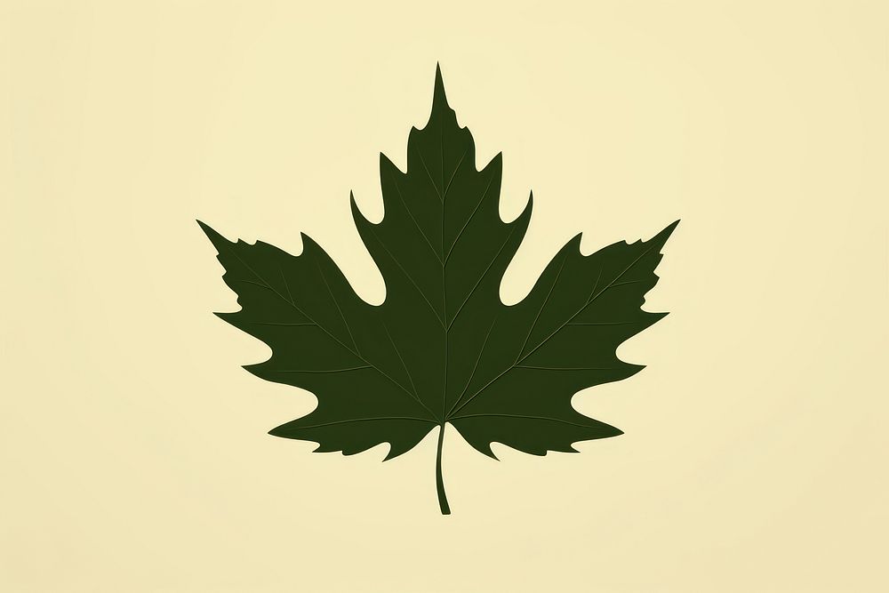 Leaf plant shape pattern. AI generated Image by rawpixel.