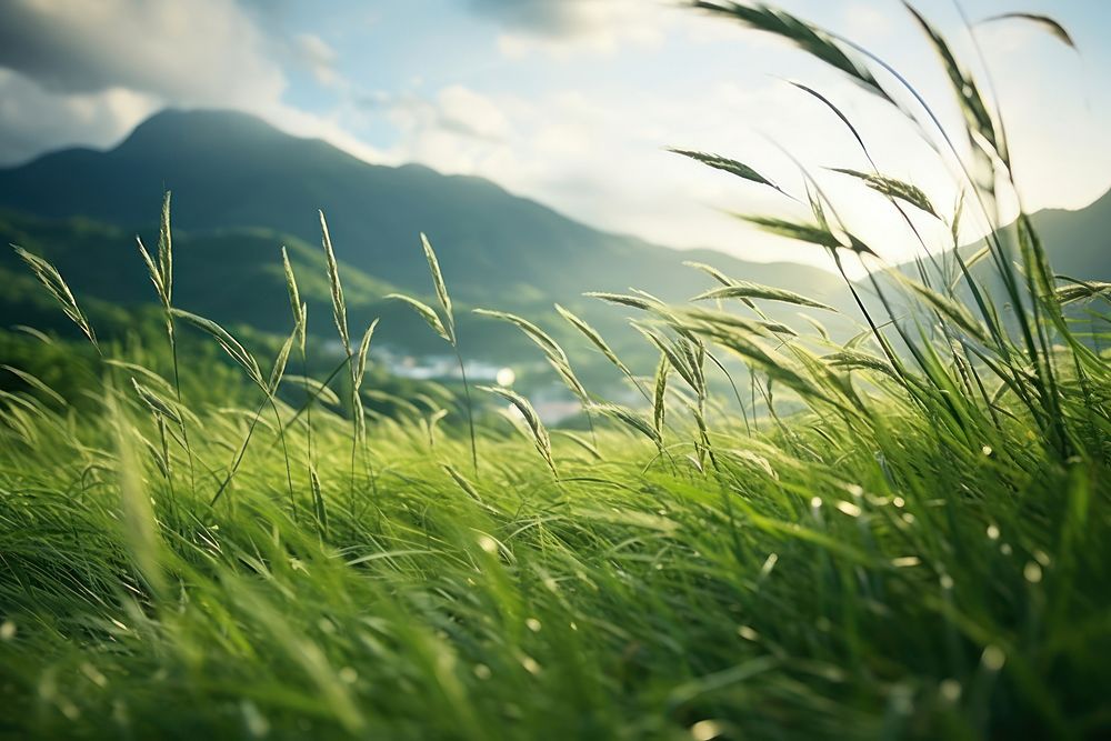 Lush green grass with tall waving blades nature field landscape. AI generated Image by rawpixel.