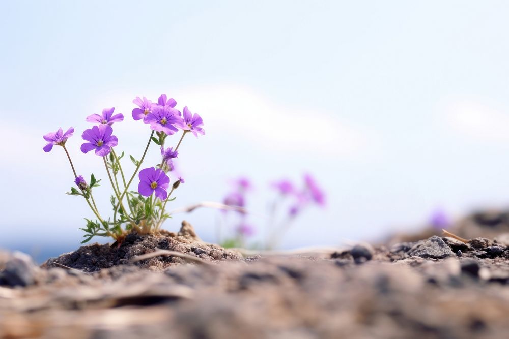 Flowering planting flower landscape outdoors. AI generated Image by rawpixel.